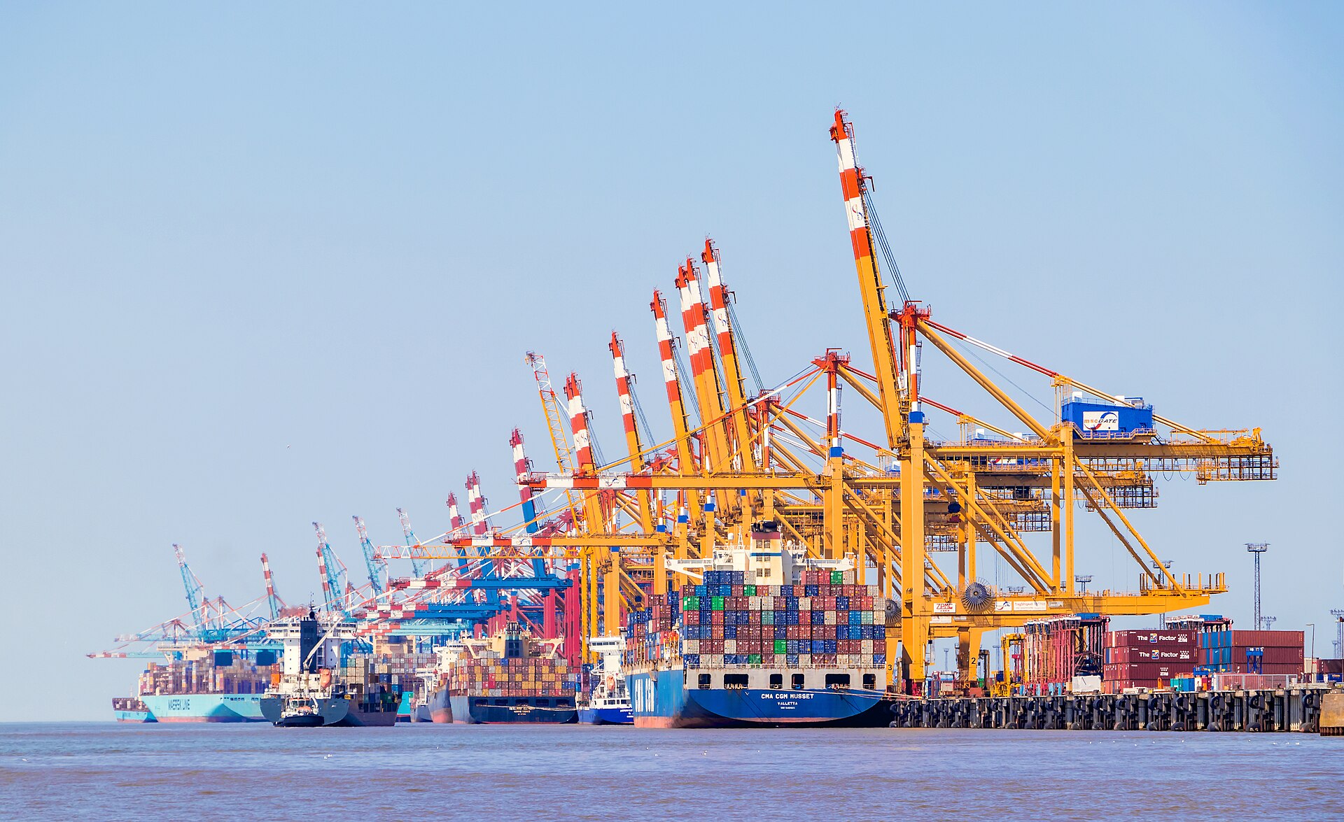 China freight forwarder container terminal loading export containers